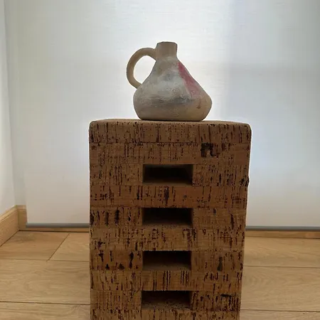 Centre Historique Coup De Coeur - 5 Mins Aeroport - Airbus - Safran - Meett 公寓 布拉尼亚克