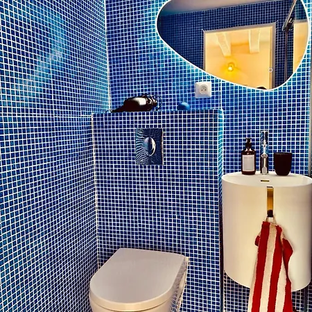 公寓 Centre Historique Coup De Coeur - 5 Mins Aeroport - Airbus - Safran - Meett 布拉尼亚克